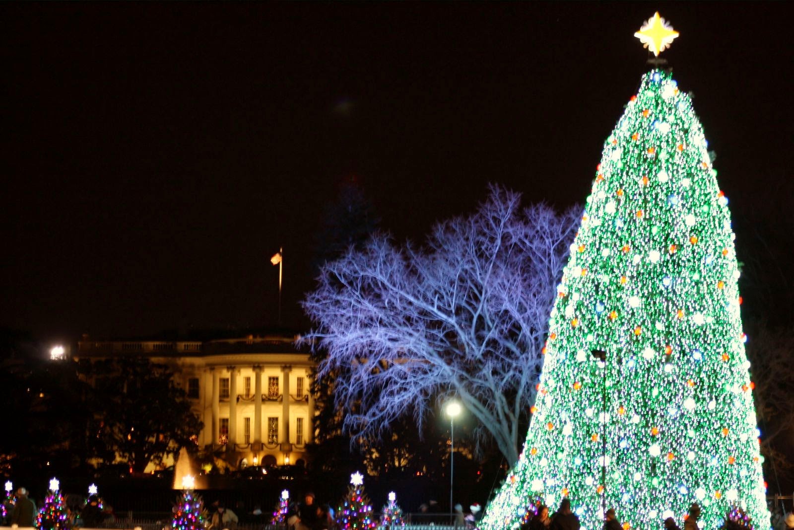 national christmas tree washington dc national christmas tree washington dc