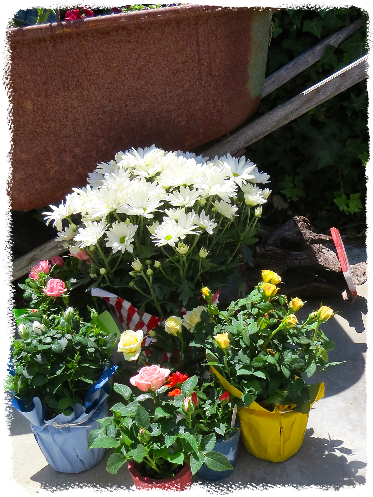 Art and Sand Flowers . . . all year long