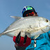 Mini Trevally Hooked On 'Minnow Masuk Angin'. Report Kasting Karang Jeruk, Tegal 21.01.2013