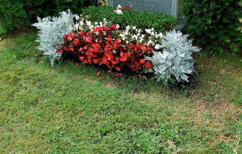 Astrid's Garden Design Cemetery Plants