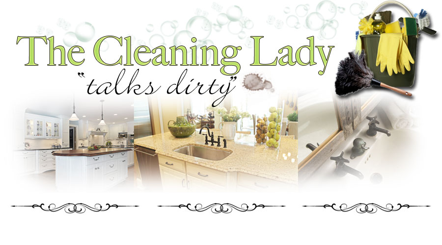 The Cleaning Lady Talks Dirty Everything you need to know about