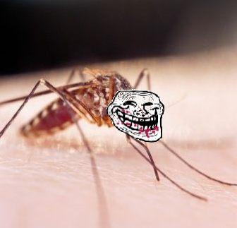 mosquito%2Btroll.JPG