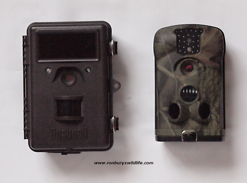 Ron Bury's Wildlife New Ltl Acorn and Bushnell Trail Cameras Review Part 1