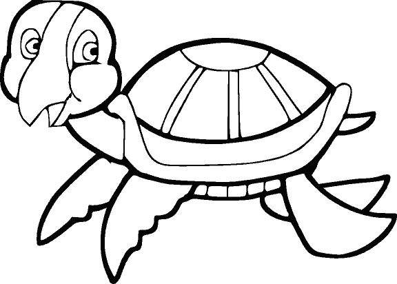 pictures you can color turtle pictures to print and color lol picture collection - Pictures You Can Print pictures you can color turtle pictures to print and color lol picture collection - Pictures You Can Print