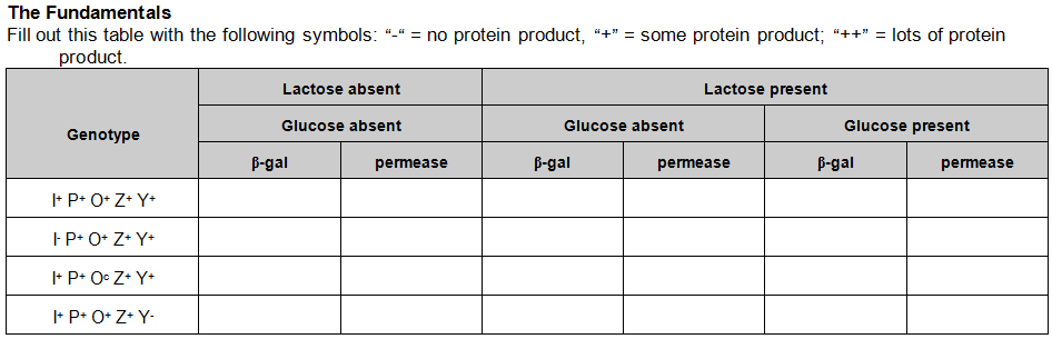 Basic Genetics for University: Molecular Genetics