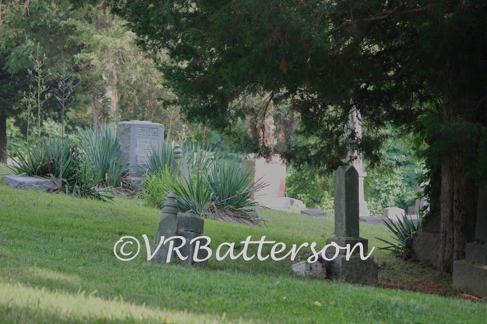 veronica randolph batterson ridge cemetery on veronica randolph batterson ridge cemetery on