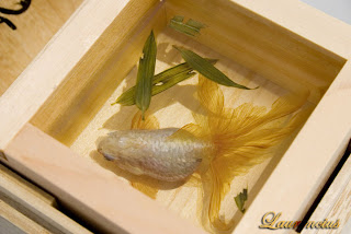 Ikan-Mas-3D-Riusuke-Fukahori_9 Lukisan-Ikan-Mas-3D-Riusuke-Fukahori_9
