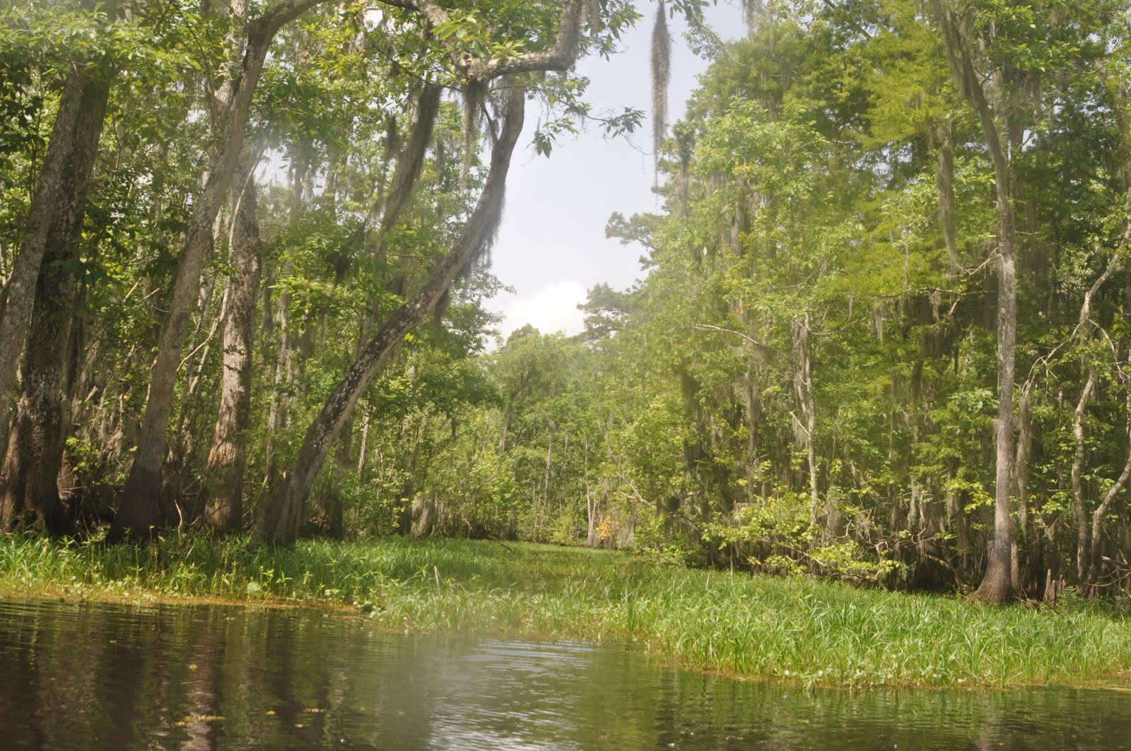 Southeastern Louisiana Paddling Paddling Blind RiverTwo Options