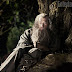 "O Hobbit" –Primeiras imagens do filme e do Set
