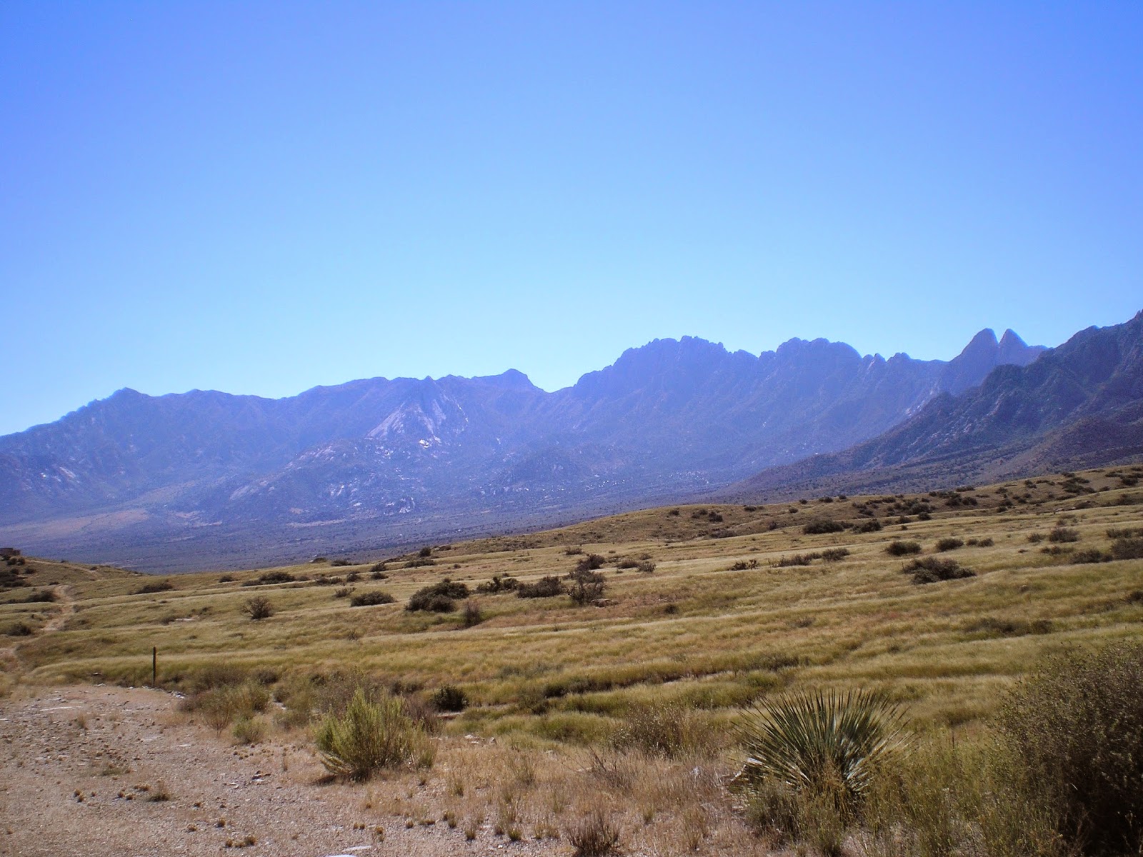The Road Genealogist San Augustin Pass to Cloudcroft New Mexico