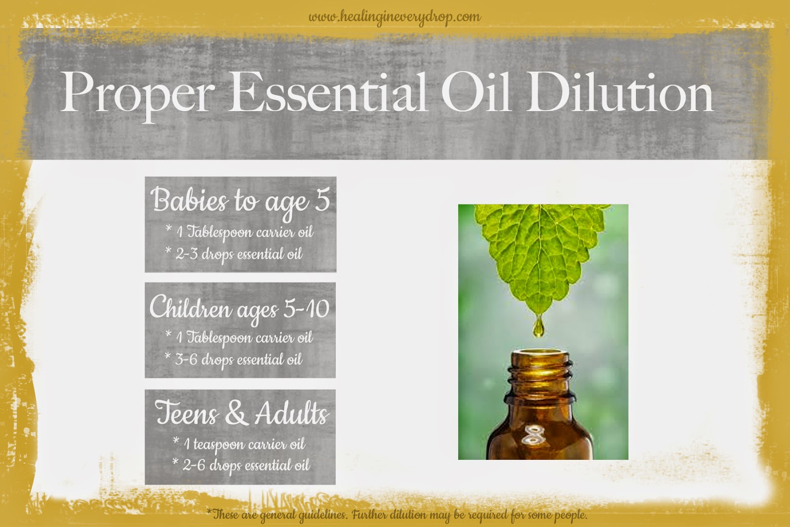 Carrier Oils Explained Oily Rockstars