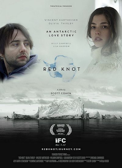 Red Knot – Legendado