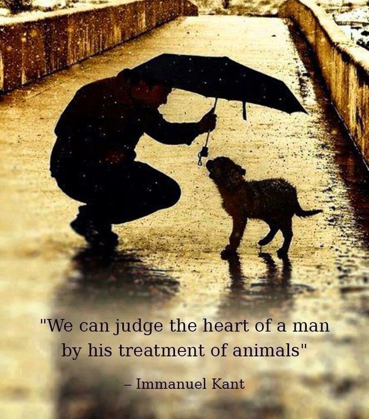 Of Animal Love: Treating Animals with Kindness Poster