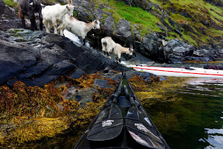 Aurlandsfjord - The Zen Of Kayaking: I Photograph The Fjords Of Norway From The Kayak Seat Aurlandsfjord - The Zen Of Kayaking: I Photograph The Fjords Of Norway From The Kayak Seat