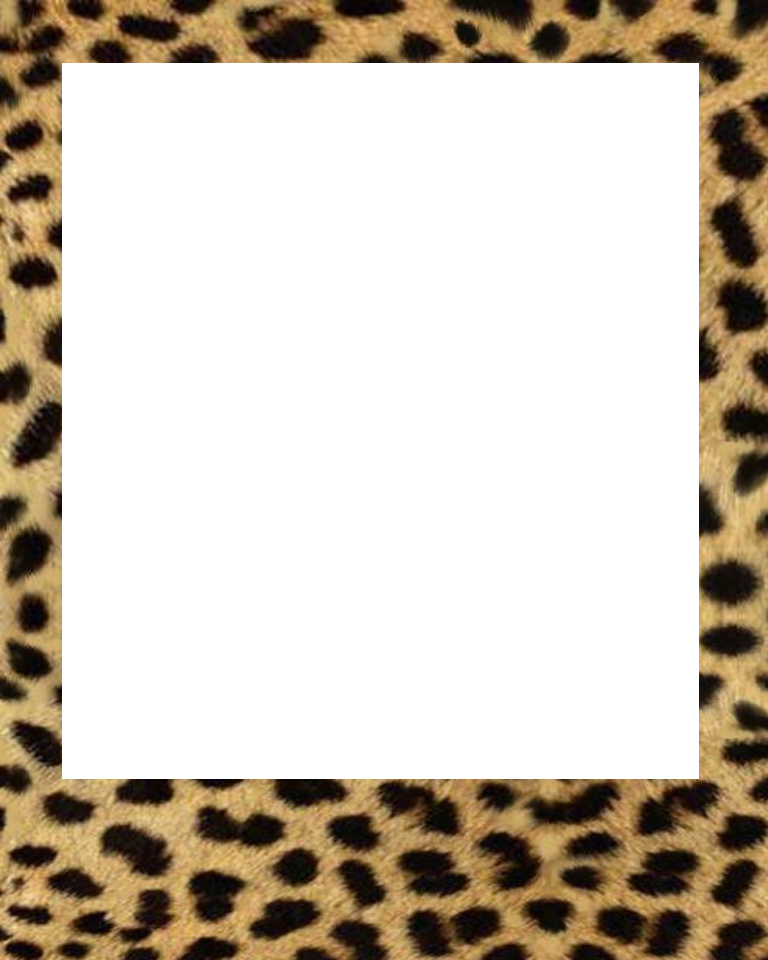 Sweetly Scrapped 135 Free Polaroid Frames