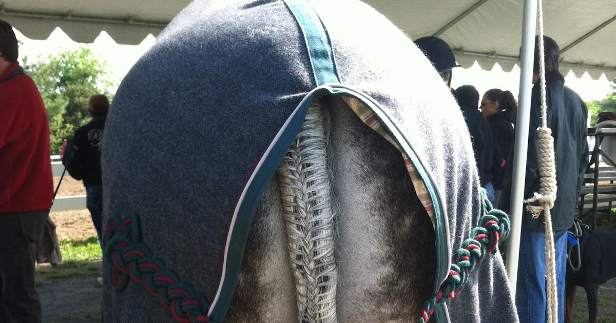 Horse Country Chic Heads or Tails?