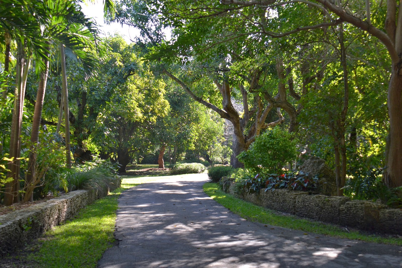 DragonFly Garden Miami’s Kampong Tropical Garden