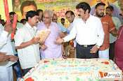 balakrishna Birthday Celebrations-thumbnail-13