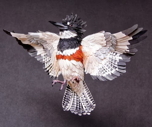 03-Belted-Kingfisher-Paper-Bird-Sculptures-Colombian-Artist-Diana-Beltran-Herrera-www-designstack-co