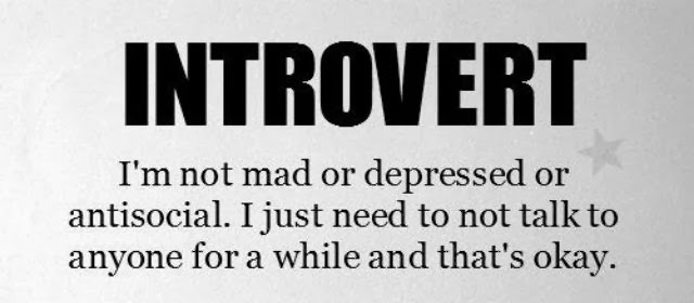 Pendiam dan Introvert. Samakah? Komunitas Anak Pendiam