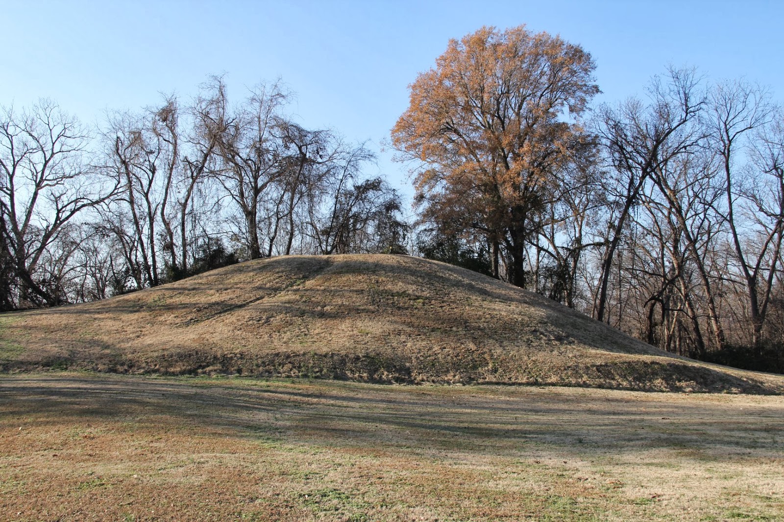 Stephen Bodio's Querencia Parkin