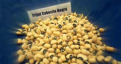 cabecita negra frijol