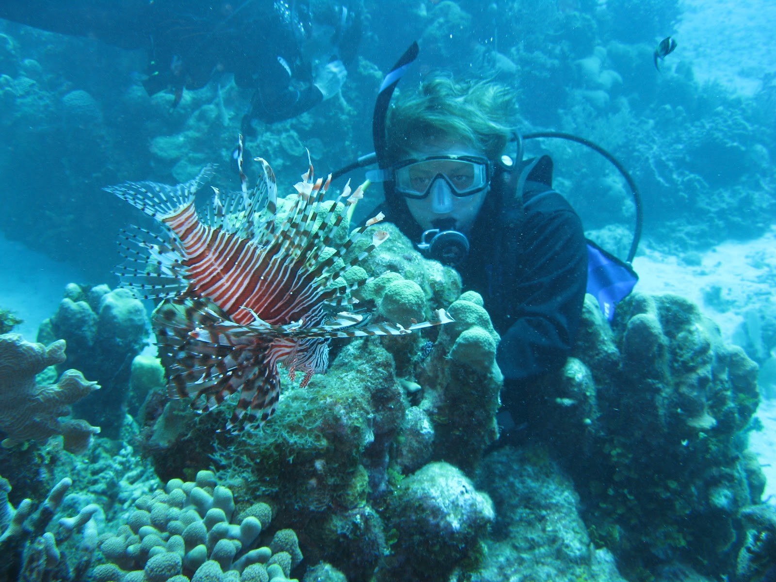 HavanaDiscoveryTours Scuba Diving in Santiago de Cuba, Cuba