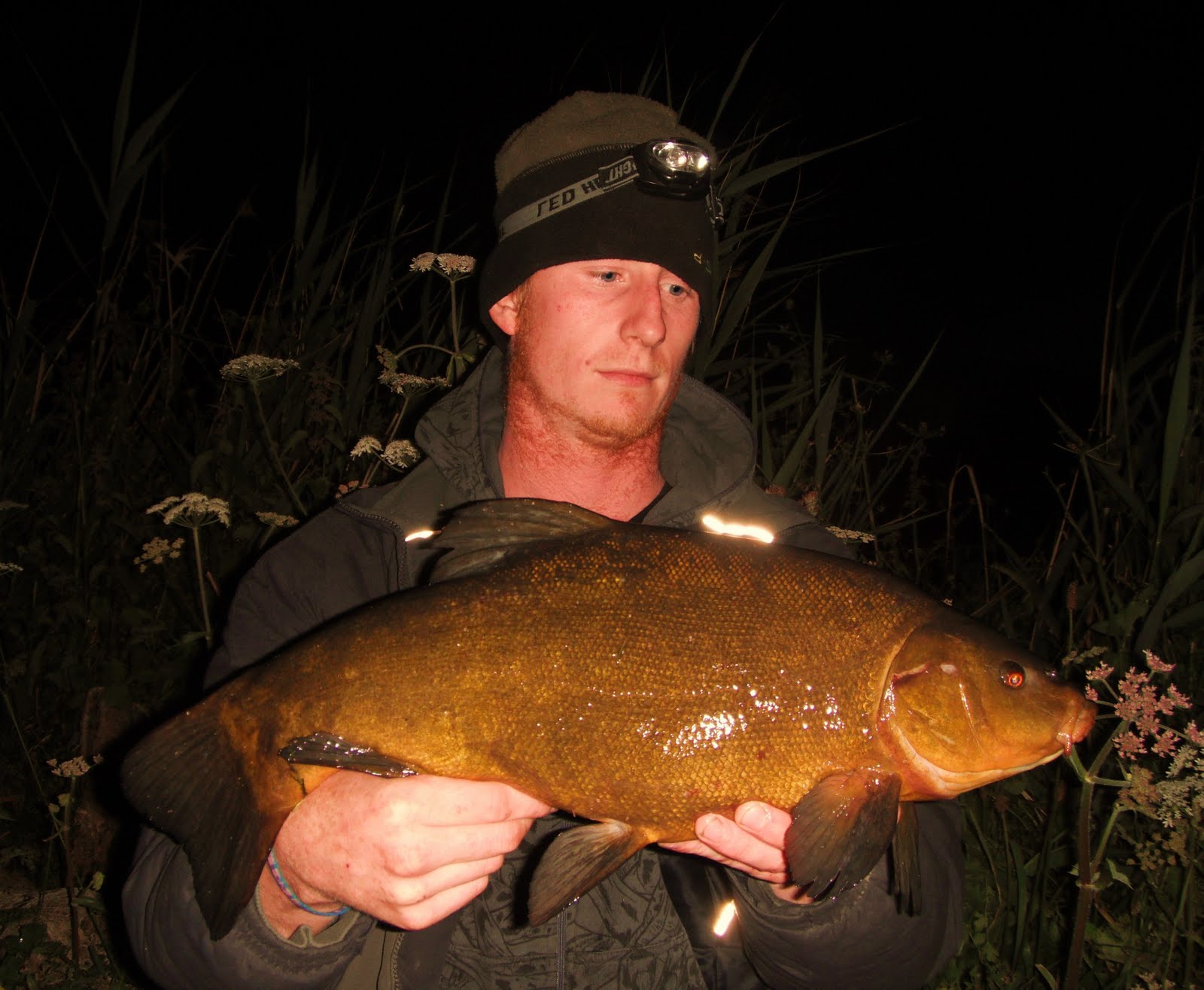 Fish tales CANAL CAPERS