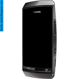 Nokia Asha 305 - صور موبايل نوكيا اشا 305 Nokia Asha 305 - صور موبايل نوكيا اشا 305