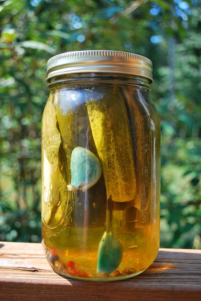 Just the Right Size Why Does My Garlic Turn Blue?