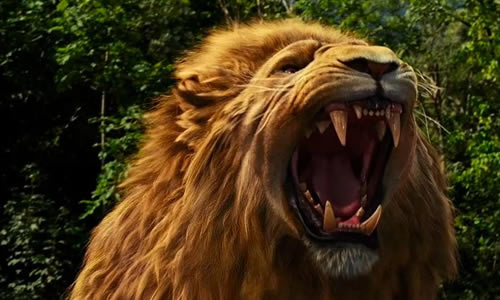 Aslan Quotes From The Lion The Witch And The Wardrobe