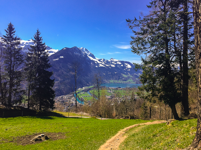 View of switzerland from above while climbing Harder Klum in Interlaken Switzerland View of lakes and interlaken from hiking Harder Klum in Interlaken Switzerland