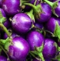 Bilderesultat for குண்டு கத்தரிக்காய்