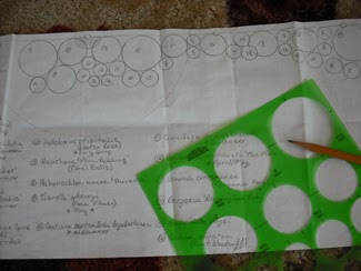 Plant By Numbers Garden Design after harvesting early maturing greens corresponding to sl greens radishes peas and spinach gardeners can plant different browse in midsummer for fall The Completed Design Would Be Installed Along The Back Fence Of My Property Each Circle On The Plan Represented A Specific Plant Identified By A Unique Plant By Numbers Garden Design when The Completed Design Would Be Installed Along The Back Fence Of My Property Each Circle On The Plan Represented A Specific Plant Identified By A Unique