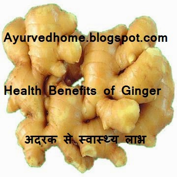Ginger Use and Benefits as Medicine , विभिन्न बीमारियों में अदरक प्रयोग , Dry Ginger