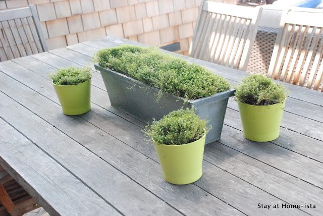 outdoor dining decor, ikea pots and a metal trough full of grasses