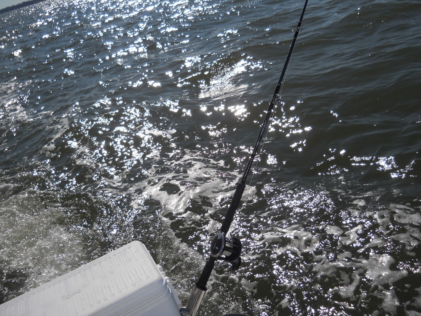 Fishing Report James River Stripers! Tidal Fish Forum