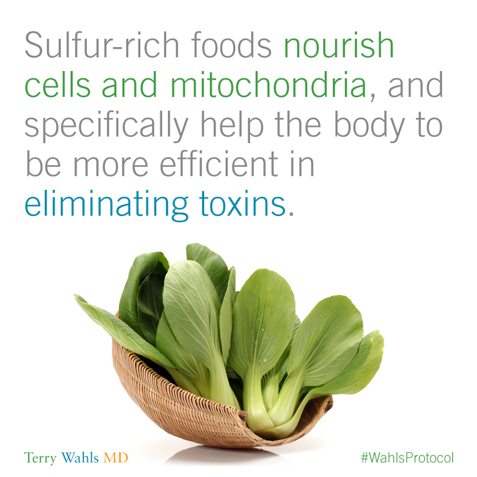 A Journey to Embrace Vegetable 101 for Paleo