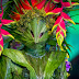 BioFashion: A very Unique Appearance Models Clothes Made of Leaves