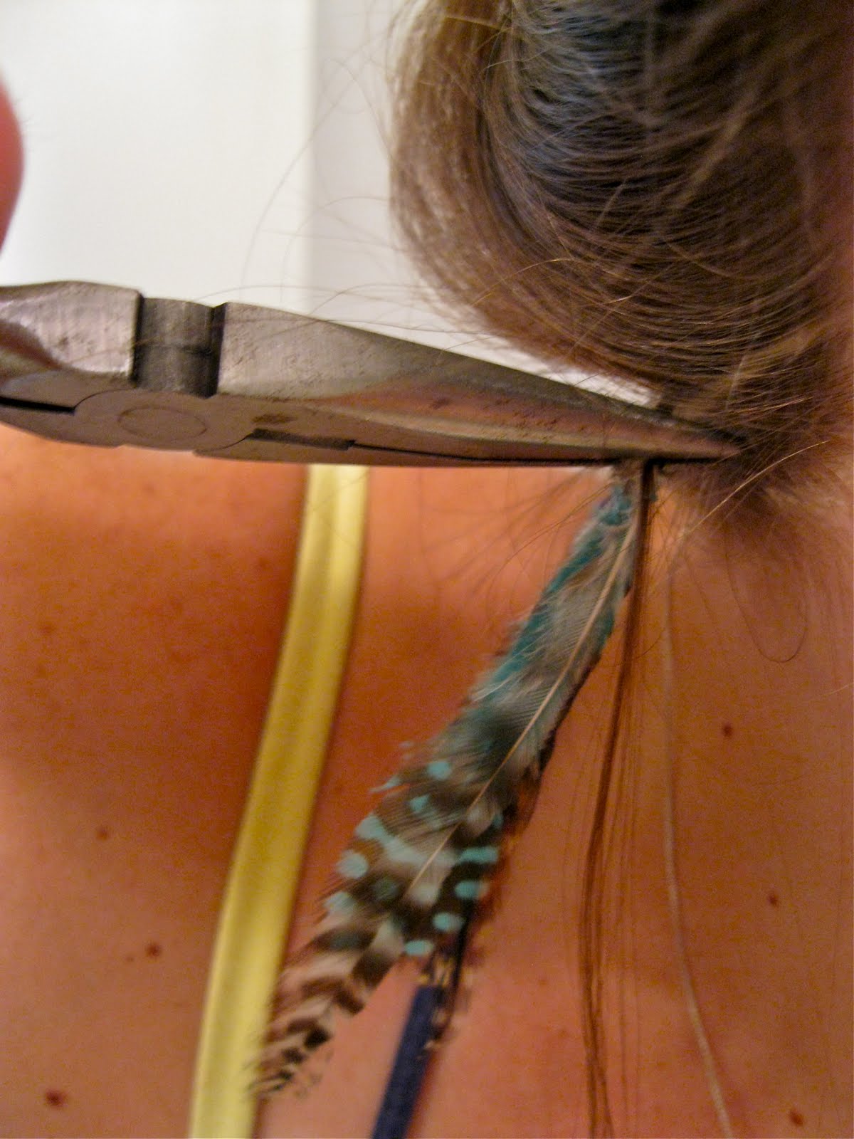 Art For All Do It Yourself Feather Extensions