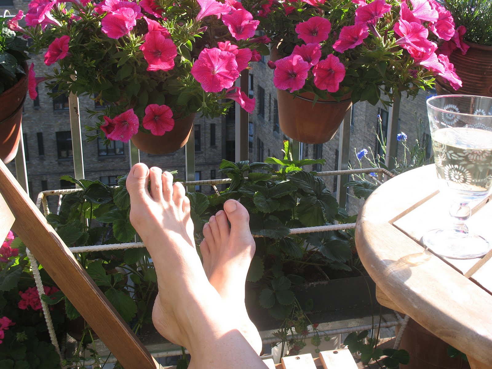 Stinehoelgaard: juli 2011