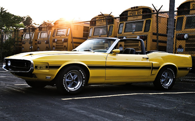 Ford Mustang Shelby GT350 Convertible 1969