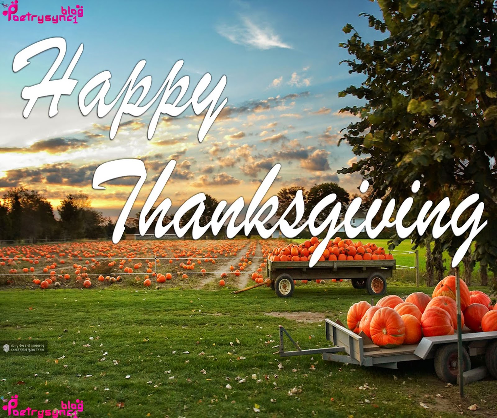 Happy-Thanksgiving-Day-Wallpaper-Image-With-Quotes-By-Poetrysync1.blog