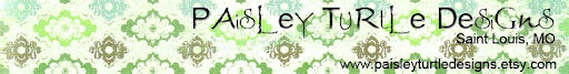 Paisley Turtle Designs