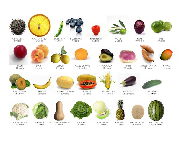 FRUIT NAME fruit name: