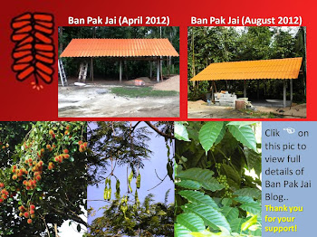 Ban Pak Jai (Chawang, Nakorn Si Thammarat) Click on pic to get into Banpakjai