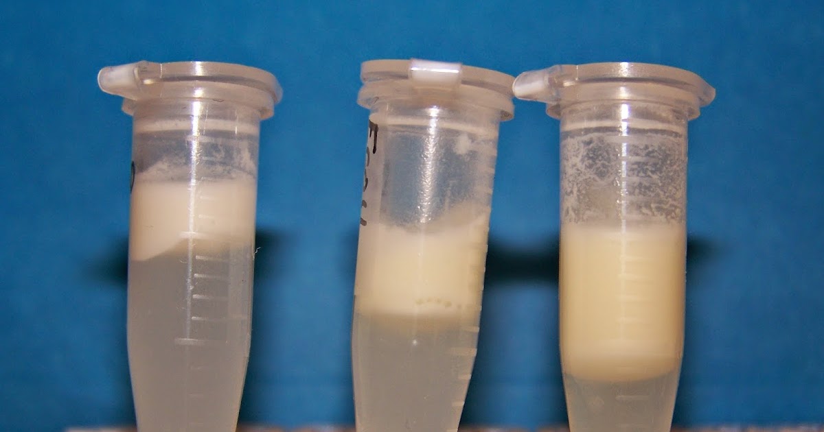 Biomarkers Milk Swirled Or Shaken Does Shaking Actually Damage Milk The Scientific Evidence