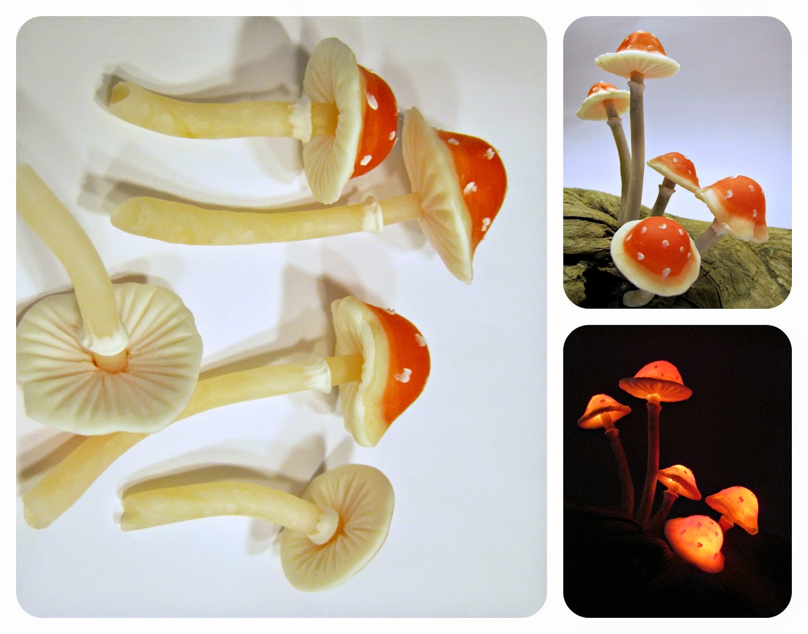 Japanese Glowing Mushrooms at Mary Bass blog