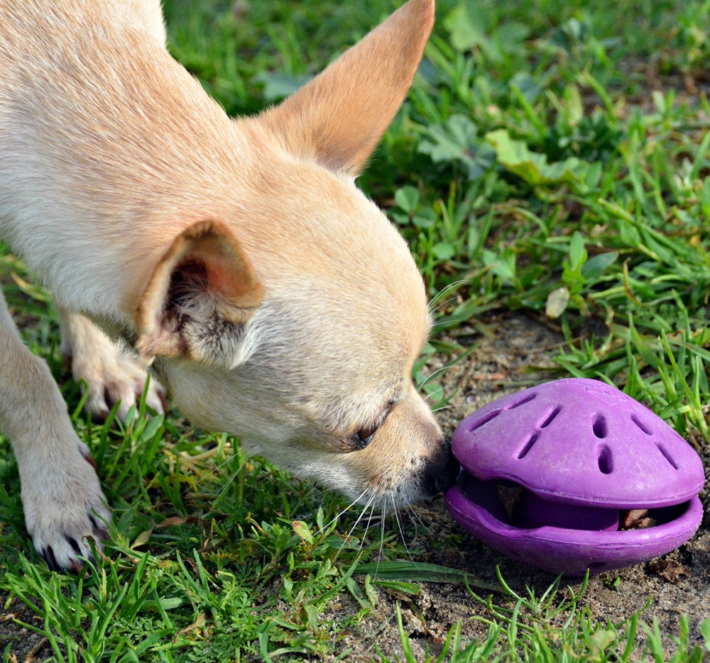 Busy Buddy Twist 'n Treat Toy Small