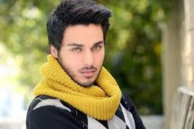 June 2014 Beautiful Hair Style Collection